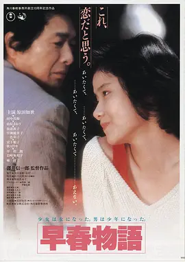 落日余晖 电影海报